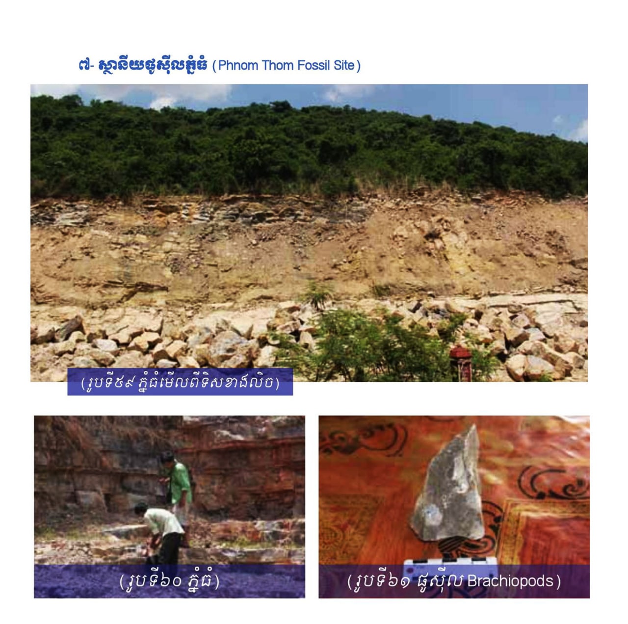 ស្ថានីយផូស៊ីលភ្នំធំ (Phnom Thom Fossil Site)