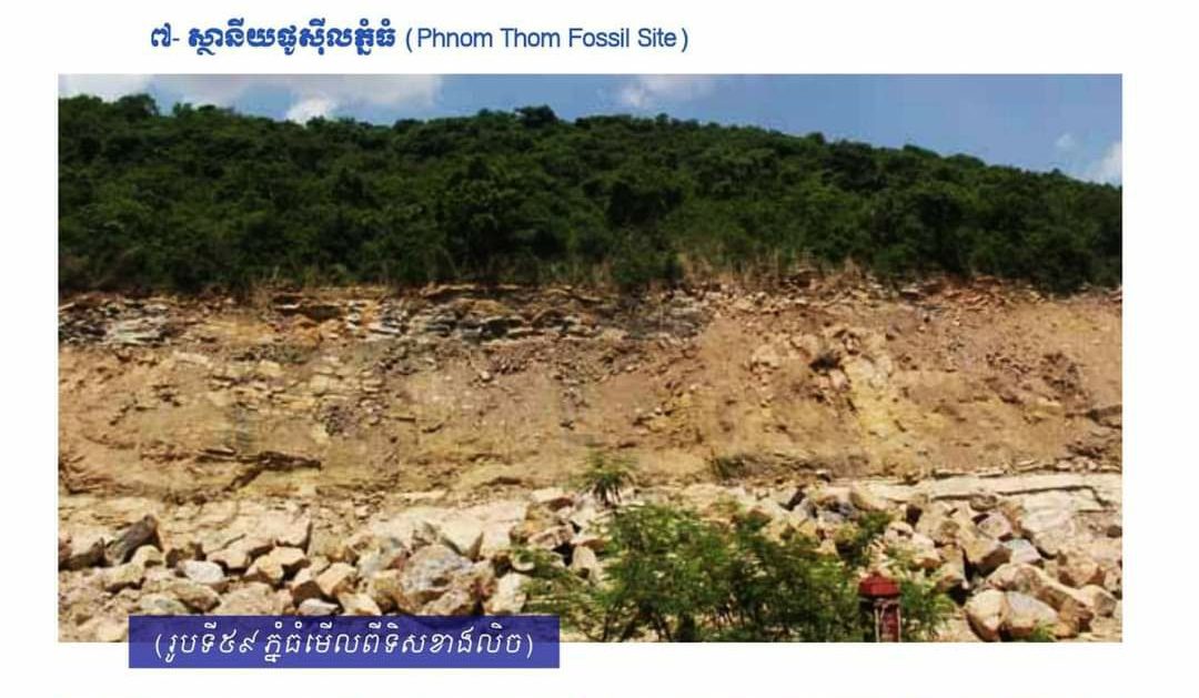 ស្ថានីយផូស៊ីលភ្នំធំជាទីតាំងផូស៊ីលសត្វសមុទ្រ