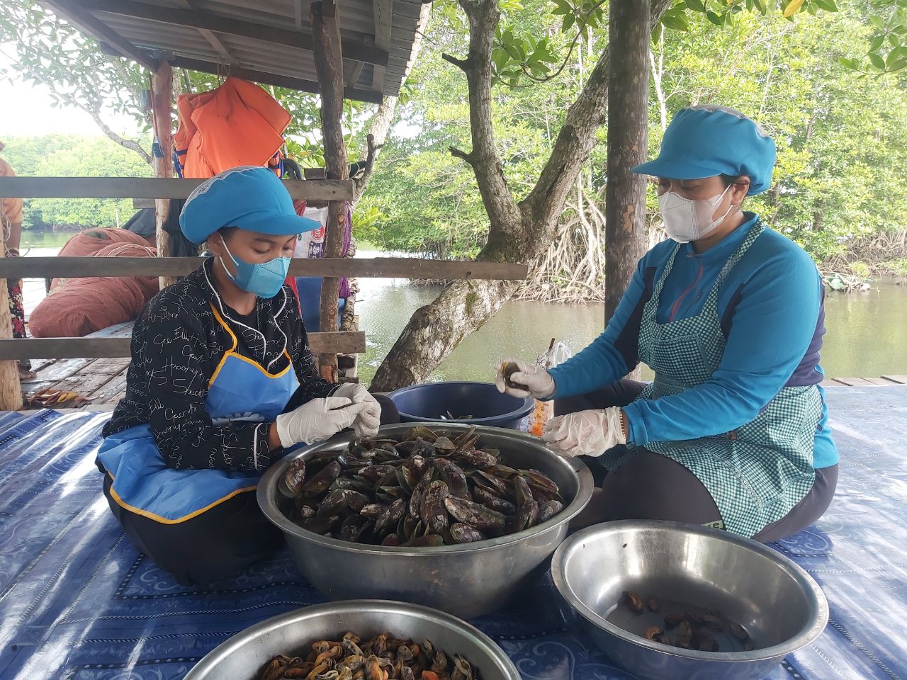 គ្រុំចំពុះទាបានផ្តល់ប្រាក់ចំណូល និងក្លាយជាអាហារប្រចាំសហគមន៍តំបន់ការពារធម្មជាតិពាមក្រសោប