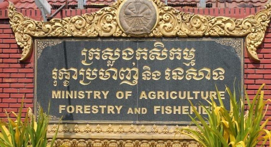 ក្រសួងកសិកម្មប្ដេជ្ញាការទប់ស្កាត់និងបង្ក្រាបករណីនាំចូលសាច់បង្កកដោយខុសច្បាប់