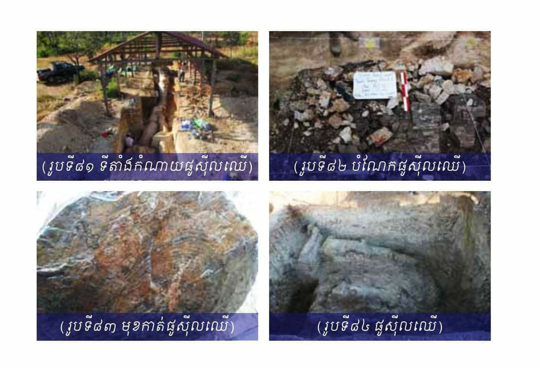 លំផាត់ស្ថានីយផូស៊ីលឈើ ដ៏គួរជាទីចាប់អាមរម្មណ៍មួយកន្លែងនៅ ខេត្តមណ្ឌលគិរី