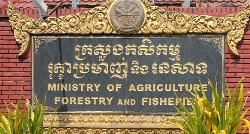 វិស័យចិញ្ចឹមសត្វលក្ខណៈពាណិជ្ជកម្មនៅកម្ពុជាមានជាង ២៦ លានក្បាល កើនឡើងជាង១៣ភាគរយ
