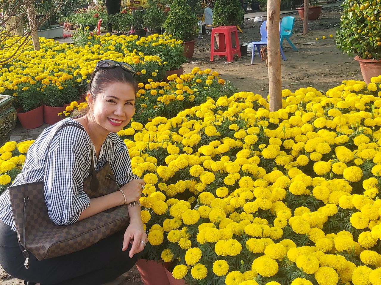 ចូលឆ្នាំចិន ឆ្នាំនេះផ្កាពណ៌លឿង និងក្រហម លក់ដាច់ខ្លាំង ដោយសារជំនឿទៅលើឆ្នាំទន្សាយ