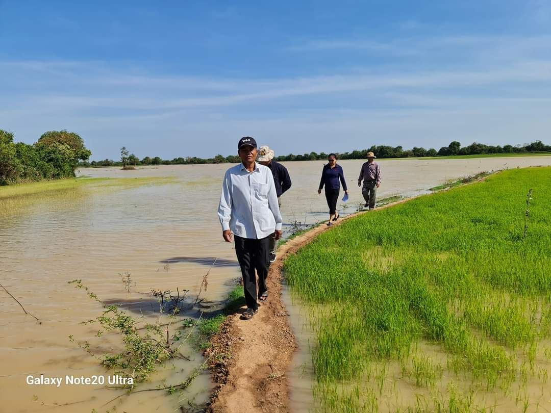 ជំនន់ទឹកភ្លៀងរដូវប្រាំងបានបង្កឱ្យរងផលប៉ះពាល់ស្រូវប្រាំងប្រជាកសិករ ចំនួន ២១៦១ហិកតា ក្នុង ស្រុកចំនួន ៥ នៃខេត្តកំពង់ឆ្នាំង