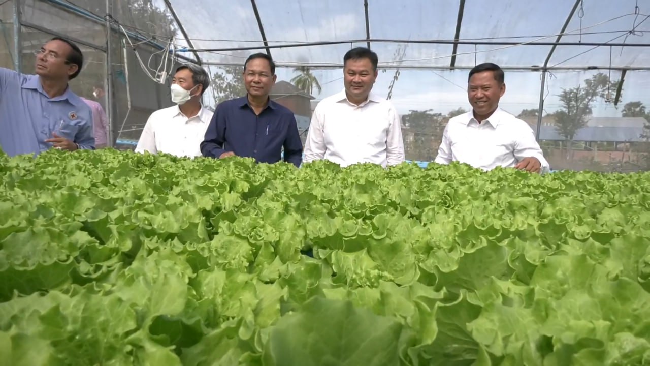 អភិបាលខេត្តកំពង់ស្ពឺលើកទឹកចិត្តដល់កសិករឱ្យបង្កើនការដាំដុះបានកាន់តែច្រើន ដើម្បីលើកកម្ពស់ជីវភាពក្នុងគ្រួសារ និងផ្គត់ផ្គង់តម្រូវការទីផ្សារនៅក្នុងស្រុក