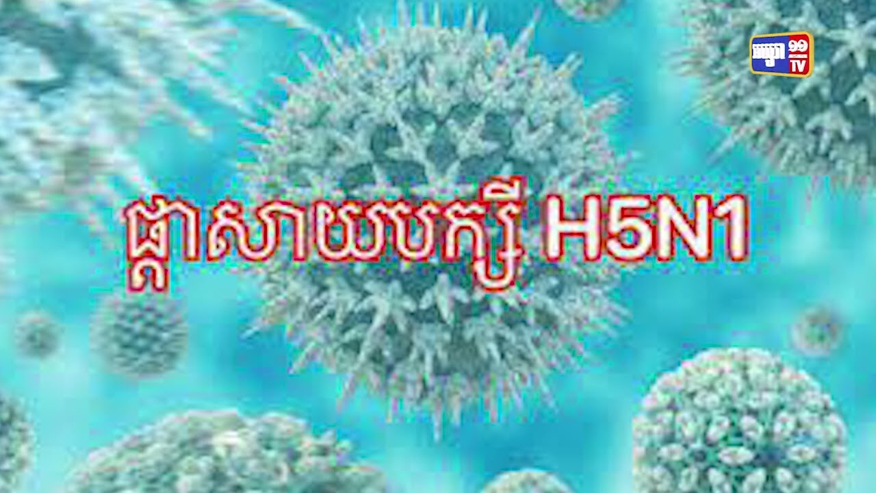 អភិបាលស្រុកស៊ីធរកណ្តាលថ្លែងថា កុមារីស្លាប់ដោយសារ H5N1 ចូលចិត្តទទួលទានសាច់មាន់ចម្អិនដាក់លើរទេះរុញ (Video Inside)