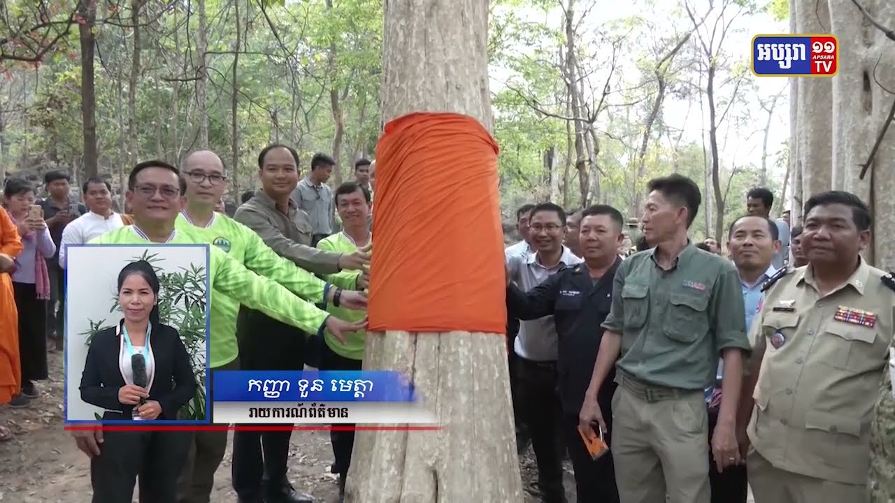 ក្រសួងបរិស្ថាន និងខេត្តព្រះវិហាររួមគ្នាធ្វើកម្មវិធីបោះជំរុំ និងបំបួសដើមឈើ (Video Inside)
