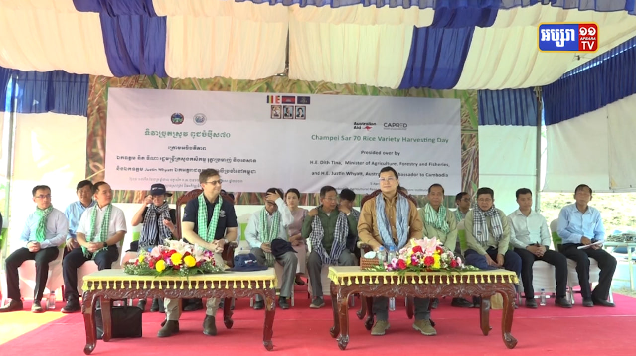 ក្រសួងកសិកម្មដាក់ចេញការប្រើប្រាស់ពូជស្រូវថ្មីចំប៉ីស៧០ (Video Inside)