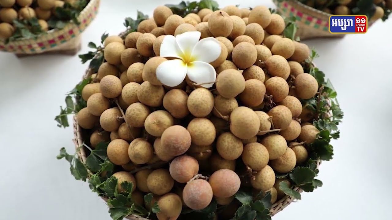កម្ពុជារំពឹងការកើនឡើងការនាំចេញផ្លែមៀនទៅទីផ្សារប្រទេសចិន (Video Inside)