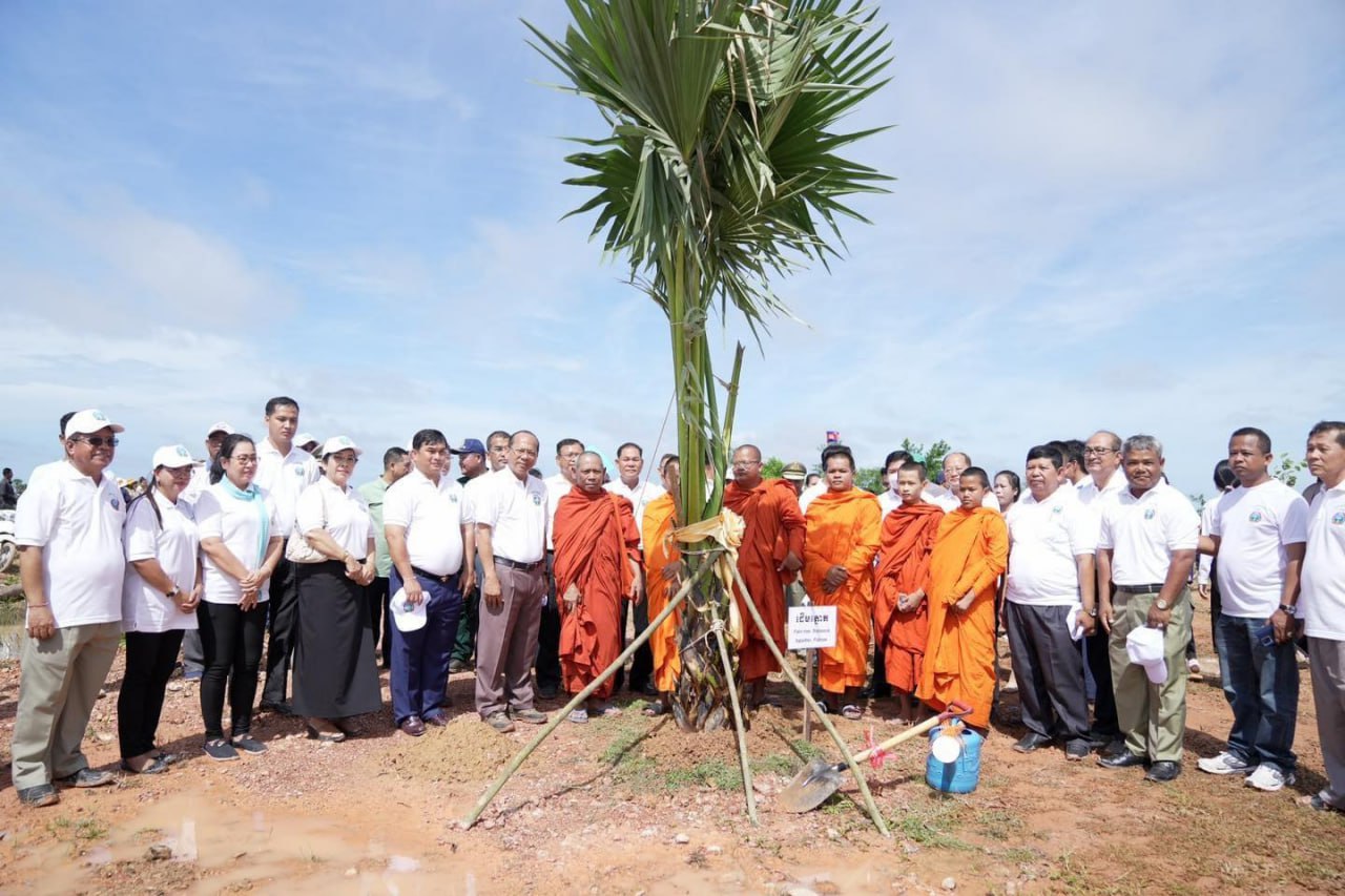 ដើម​ត្នោត​ជាង ៧ ០០០ ​ដើម ត្រូវ​បាន​អាជ្ញា​ធរ​ខេត្ត​កំពត​​ដាំ​នៅ​​តំបន់​ព្រំ​ដែន​កម្ពុជា​-វៀ​ត​ណាម