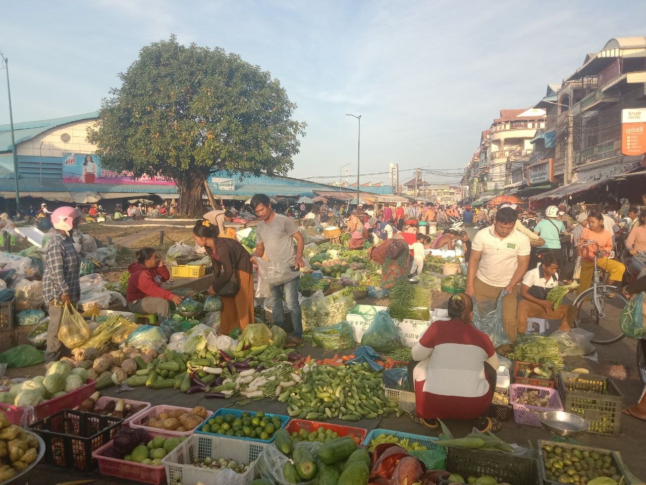 អាជ្ញាធរខេត្តកំពង់ស្ពឺ ប្រាប់ឱ្យអាជីវករបញ្ឈប់ការលក់ដូរ នៅបរិវេណសួនដើមលៀបជាកំហិតត្រឹមថ្ងៃទី៤ខែកញ្ញា