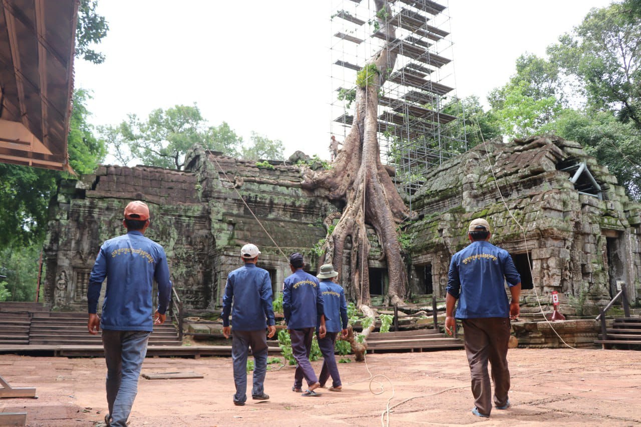 អាជ្ញា​ធរ​ជាតិ​អប្សរានឹង​ធ្វើ​ការ​ដក​ហូត និង​កាត់​ក្រី​មែក​ឈើ​នៅ​បរិវេណ​ប្រាសាទ​មួយ​ចំនួ​ន​ក្នុង​រមណីយ​  ដ្ឋាន​អង្គរ