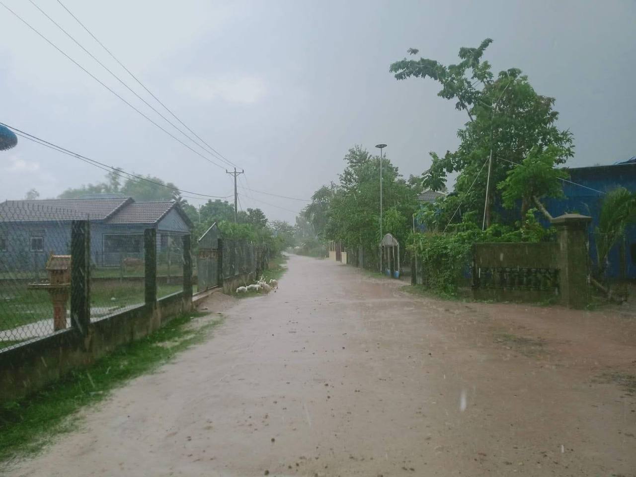 ក្រសួងធនធានទឹក និងឧតុនិយម ប្រកាសពីស្ថានភាពធាតុអាកាស ចាប់ពីថ្ងៃទី១១ ដល់ថ្ងៃទី១៧ ខែកញ្ញា ឆ្នាំ២០២៣