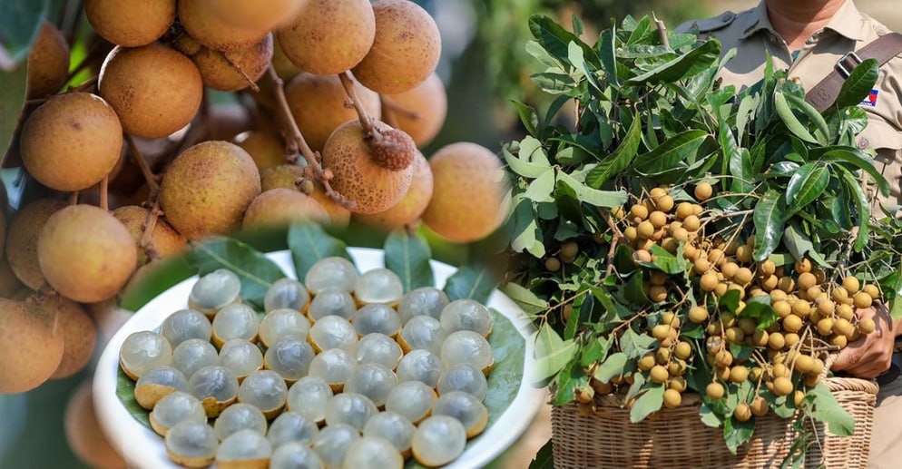 រយៈពេលប្រាំបីខែ កម្ពុជា នាំចេញផ្លែមៀនស្រស់បានជាងប្រាំបីពាន់តោន