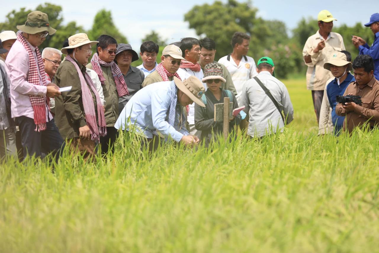 រាជរដ្ឋាភិបាល ណែនាំដល់ក្រសួង ស្ថាប័ន និងភាគីពាក់ព័ន្ធ ត្រូវខិតខំស្វែងរកទីផ្សារកសិផលសម្រាប់ប្រជាកសិករ