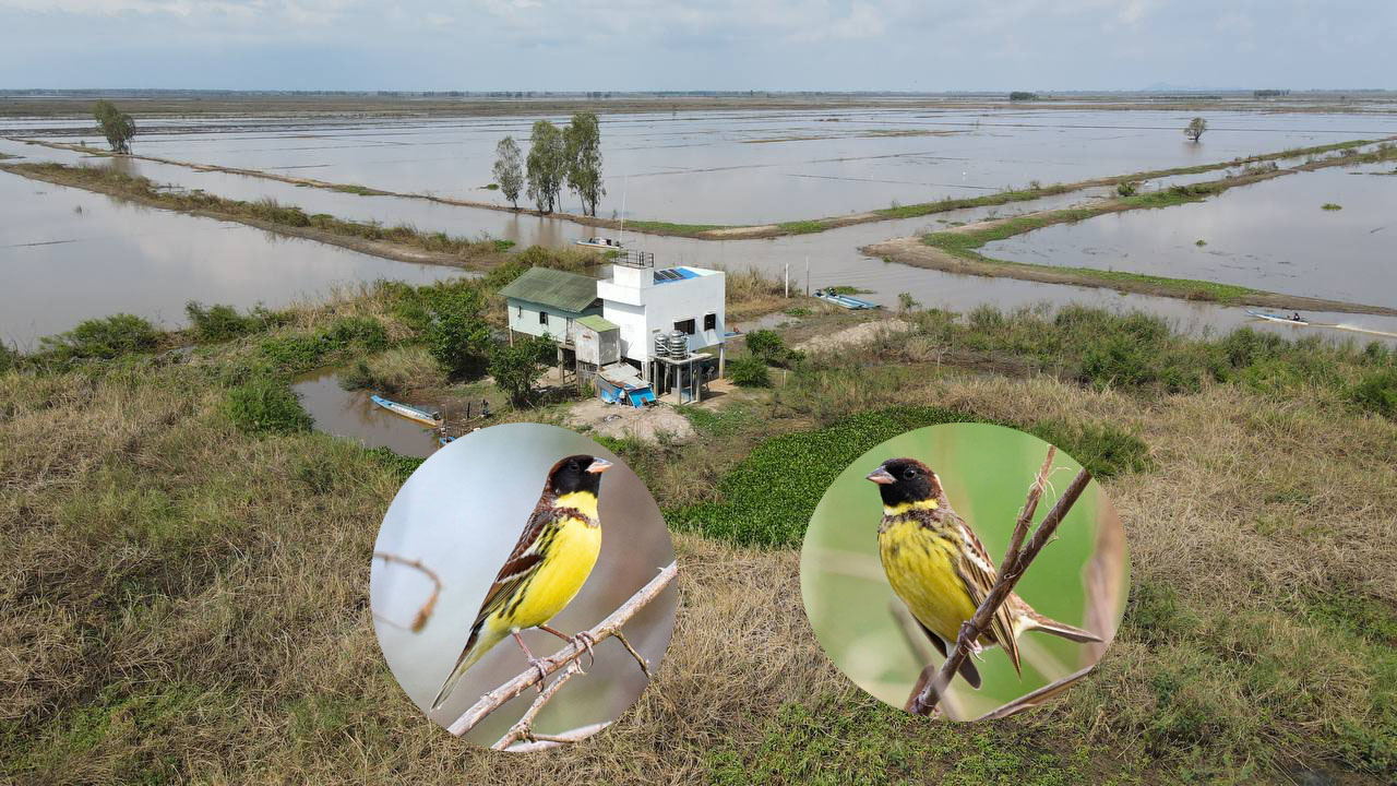 ក្នុងឆ្នាំ២០២៣ សត្វចាបព្រៃវែងជិត ៥ពាន់ក្បាលត្រូវបានកត់ត្រា ឃើញ នៅ តំបន់ ការពារទេសភាព បឹងព្រែកល្ពៅ