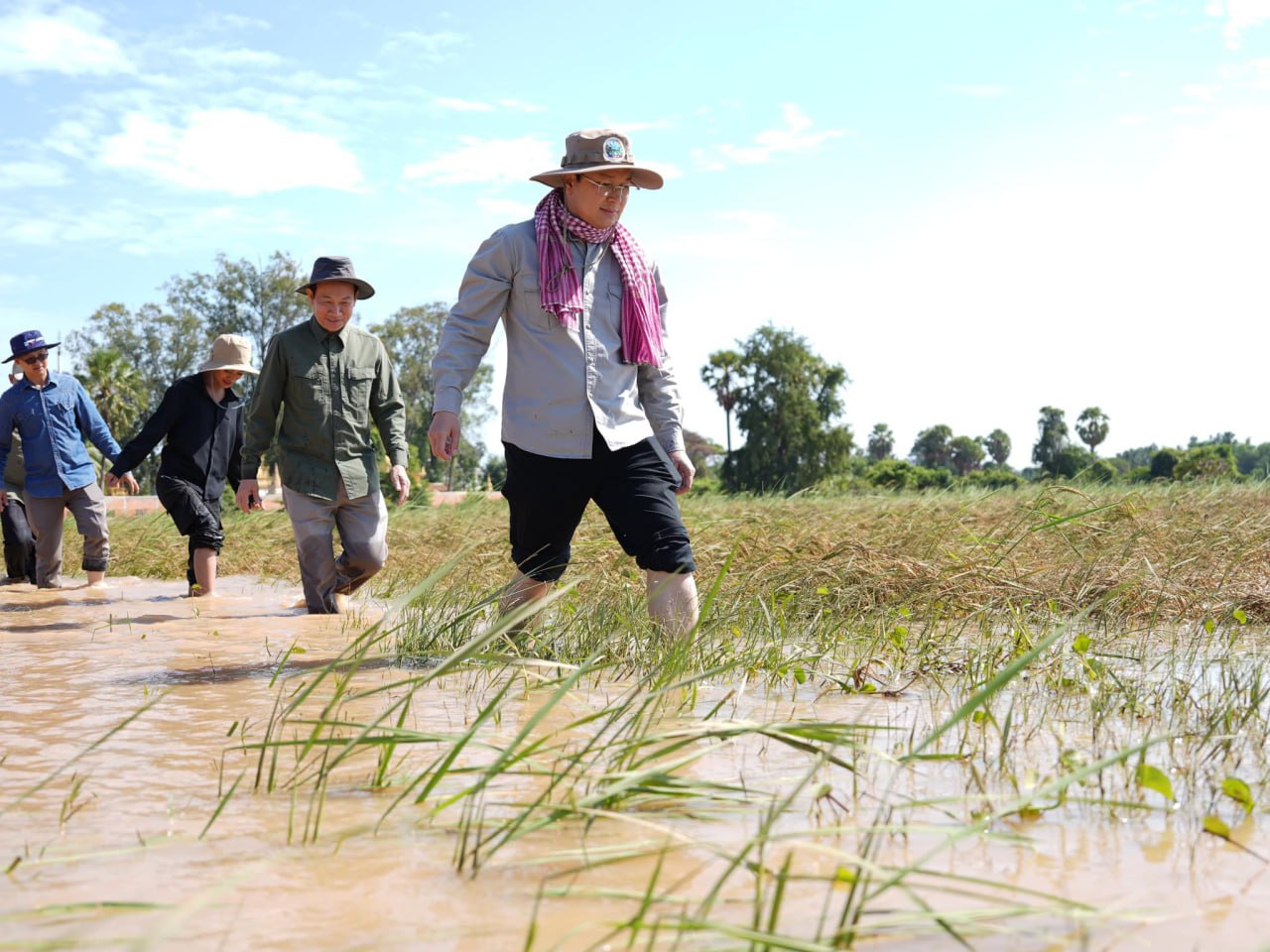 ក្រសួងកសិកម្ម បានត្រៀមពូជស្រូវ និងគ្រាប់ពូជដំណាំរួចរាល់ហើយសម្រាប់ចែកដល់កសិករដែលរងគ្រោះដោយទឹកជំនន់ បន្ទាប់ពីផលប៉ះពាល់ត្រូវបានវាយតម្លៃរួច
