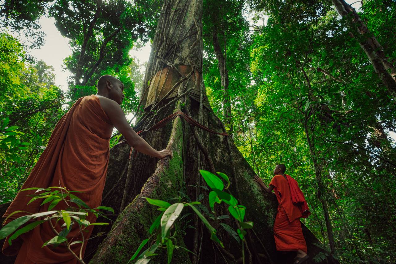 អង្គការសម្ព័ន្ធមិត្តសត្វព្រៃ បំភ្លឺចំពោះការចោទប្រកាន់ថា គម្រោងរេដបូកជួរភ្នំក្រវាញខាងត្បូង ដោយគ្មានការយល់ព្រមពីជនជាតិដើមភាគតិច និងសហគមន៍មូលដ្ឋាន