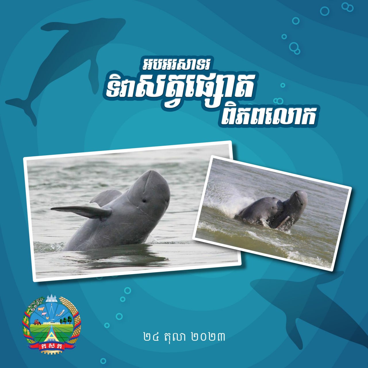 រាជរដ្ឋាភិបាលកម្ពុជាតែងតែផ្ដោតការយកចិត្តទុកដាក់ដល់កិច្ចការពារអភិរក្សសត្វផ្សោត និងធនធានវារីសាស្ត្រក្នុងតំបន់