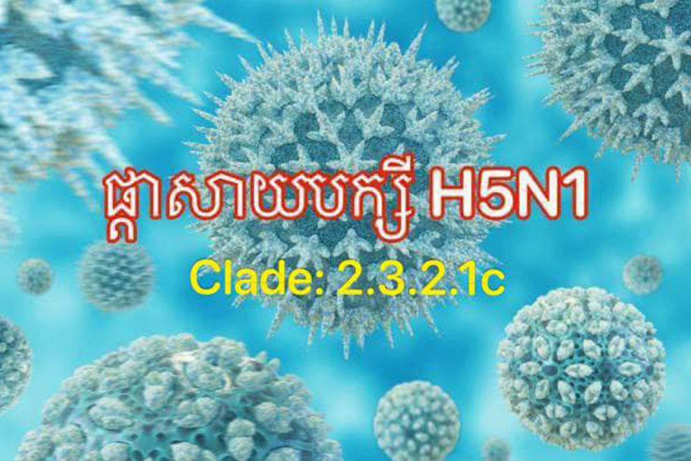 ក្រសួងសុខាភិបាល​រកឃើញវីរុសផ្តាសាយបក្សីលើស្រ្តីម្នាក់ស្ថិតនៅក្នុងសង្គ្រោះបន្ទាន់