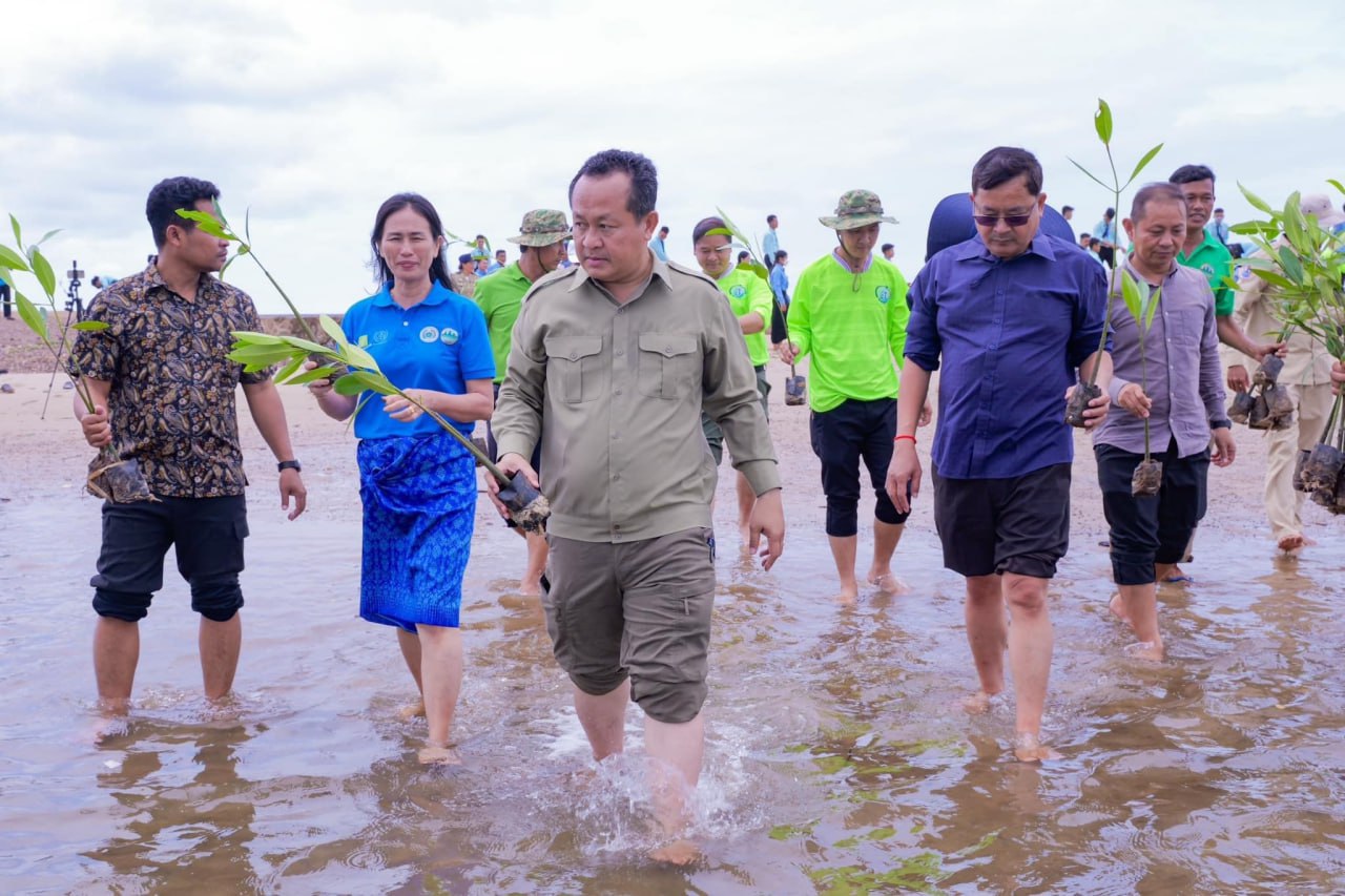 អាជ្ញាធរខេត្តកែប ដាំកូនកោងកាងចំនួន​ ៦,០០០ដើម​ នៅឆ្នេរសហគមន៍នេសាទ​ភូមិថ្មី