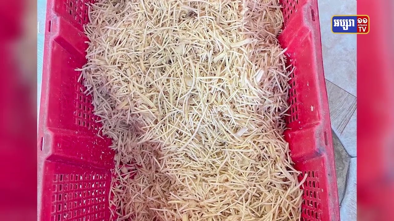រកឃើញសារធាតុ Sodium Hydrosulfite ក្នុងខ្ញីហាន់ស្រេច (Video Inside)