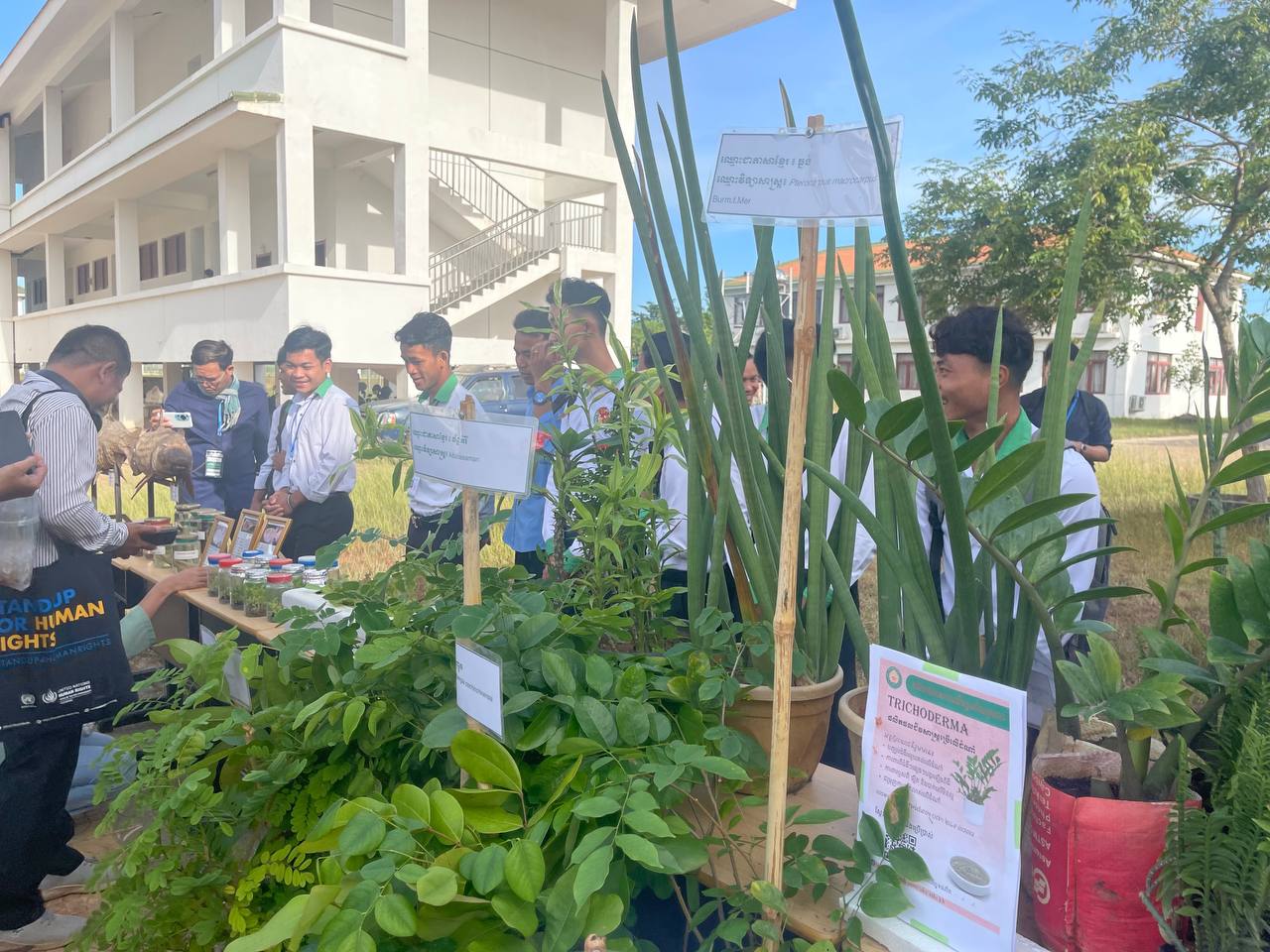 ការបណ្តុះបណ្តាលមុខជំនាញដល់កសិករ និងយុវជននឹងជួយឱ្យខ្សែ ច្រវាក់ផលិតកម្មកសិកម្មកម្ពុជាកាន់តែរីកចម្រើន