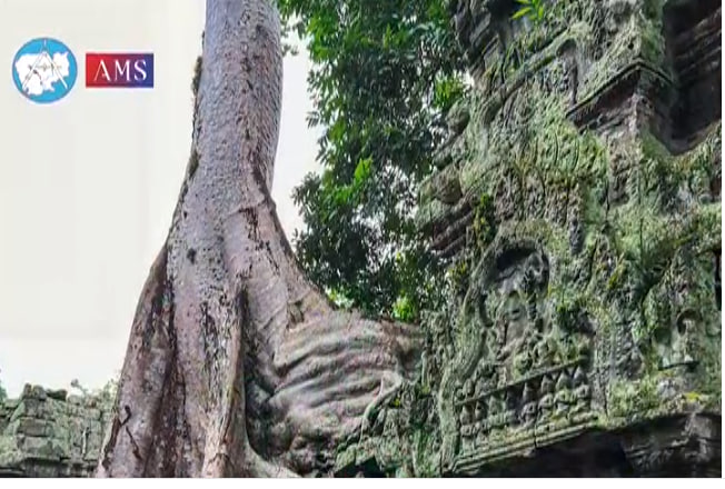 ប្រាសាទតាព្រហ្ម មានឈ្មោះដើមថា “រាជវិហារ” ត្រូវបានកសាងឡើងនៅក្នុងរជ្ជកាលព្រះបាទជ័យវរ្ម័នទី៧ នៅសតវត្សទី១២ ក្នុងឆ្នាំ១១៨៦