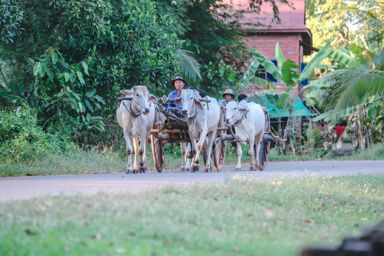 ឆ្លងឆ្នាំសកលបើមកខេត្តសៀមរាប កុំភ្លេច សហគមន៍ ទេសចរណ៍បាគងភូមិខ្ញុំ
