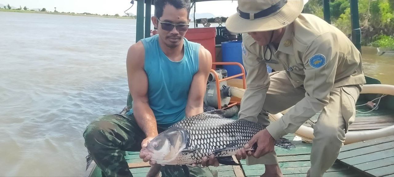 ប្រជានេសាទ ចាប់បានត្រីគល់រាំង ១ក្បាលទម្ងន់ជាង ៨គីឡូក្រាម ប្រគល់ជូនមន្ត្រីជំនាញលែងចូលបឹងធម្មជាតិវិញ