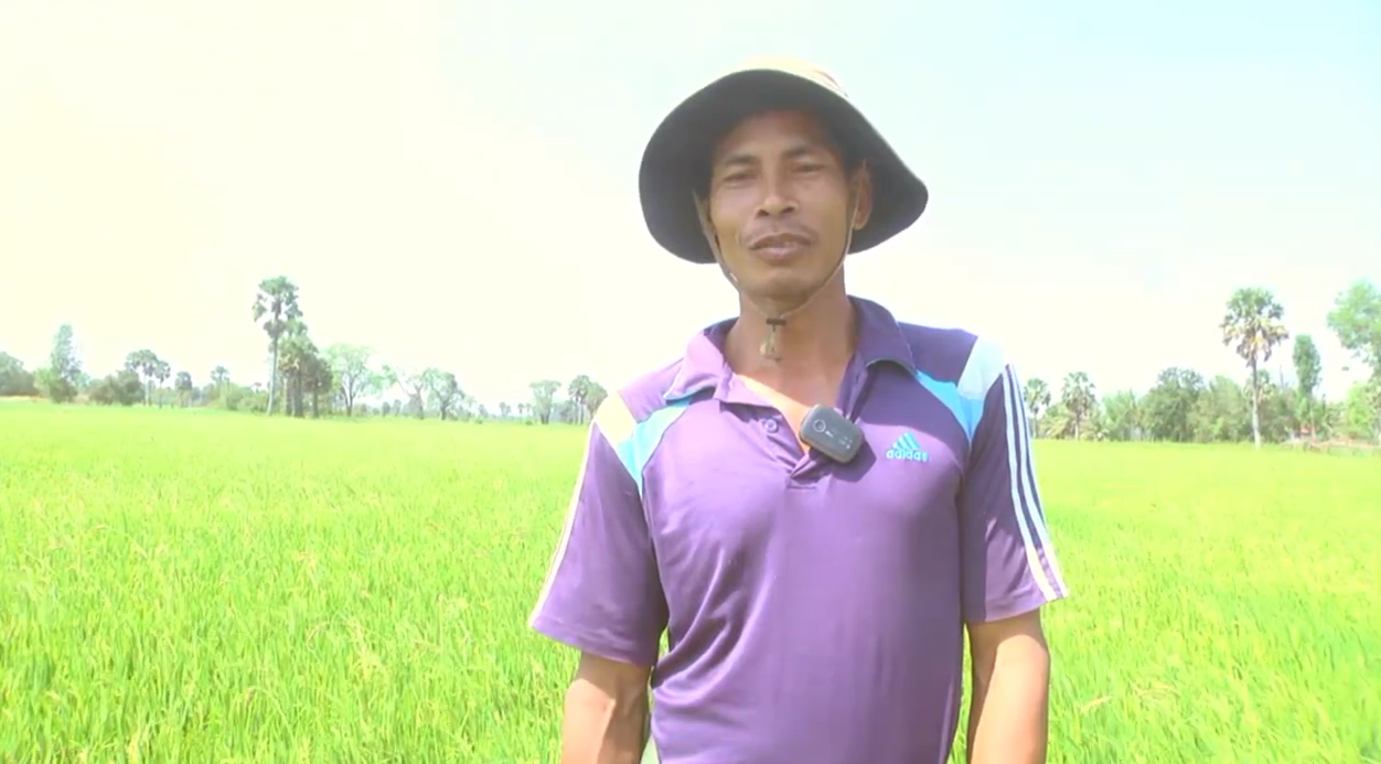 កសិករ ឃុំស្ដេចគង់ខាងជើ ត្រេកអរពេលមានទឹក ស្រោច ស្រពស្រូវគ្រប់គ្រាន់