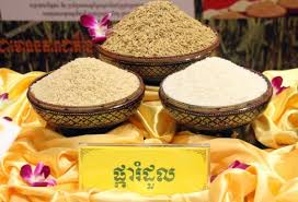 មន្រ្តីជាន់ខ្ពស់ក្រសួងកសិកម្ម ៖ ស្រូវផ្ការំដួល ប្រើពូជសុទ្ធកើនទិន្នផល ងាយស្រួលលក់ និងតម្លៃខ្ពស់