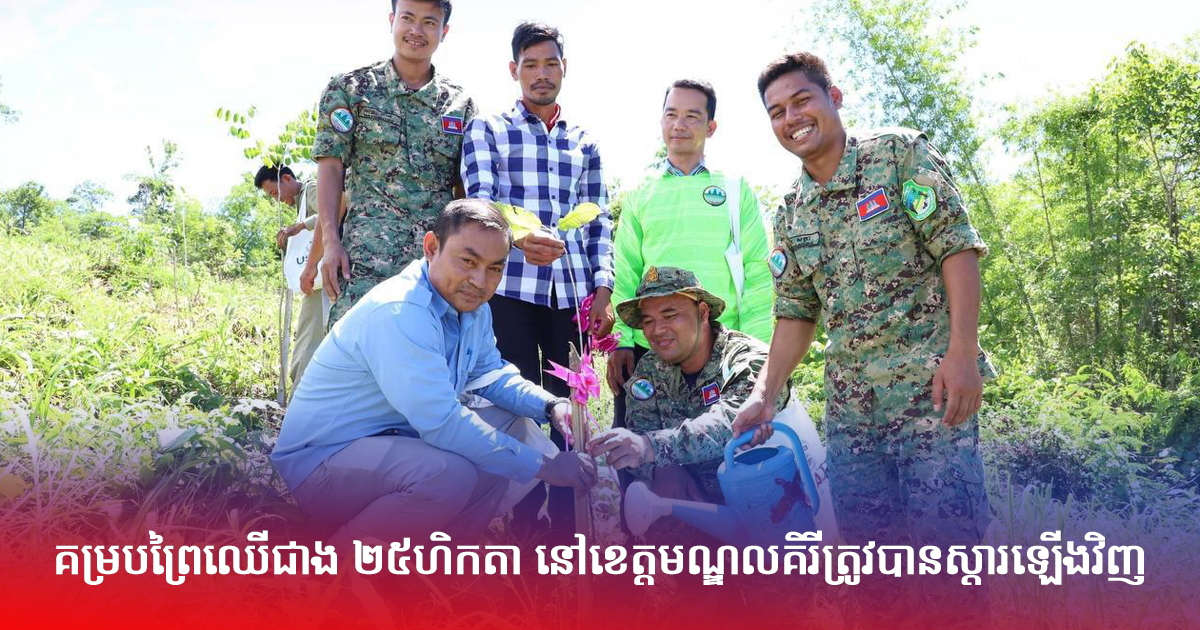 គម្របព្រៃឈើជាង ២៥ហិកតា នៅខេត្តមណ្ឌលគិរីត្រូវបានស្ដារឡើងវិញ