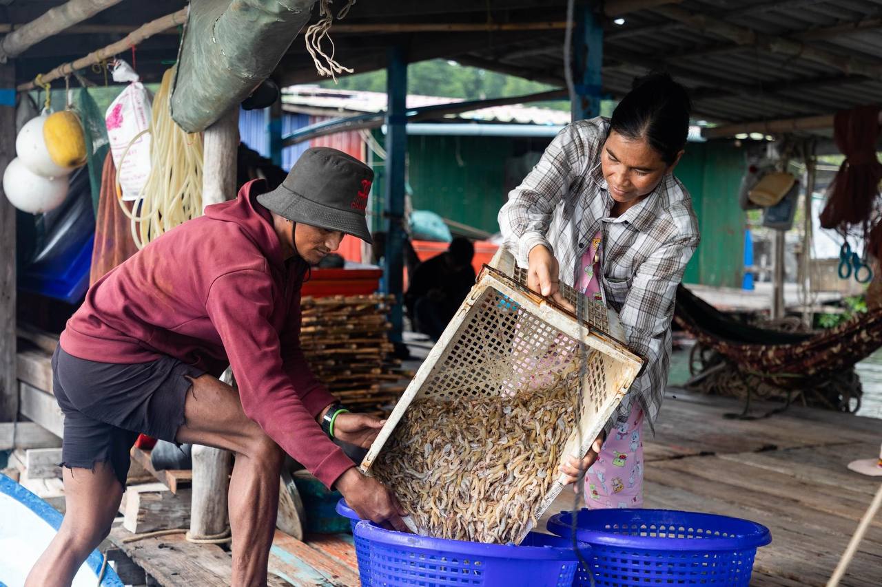 គម្រោងអភិវឌ្ឍន៍ជលផលក្រោយប្រមូលផល បានជួយដល់ សហគ្រាសកែច្នៃជលផល