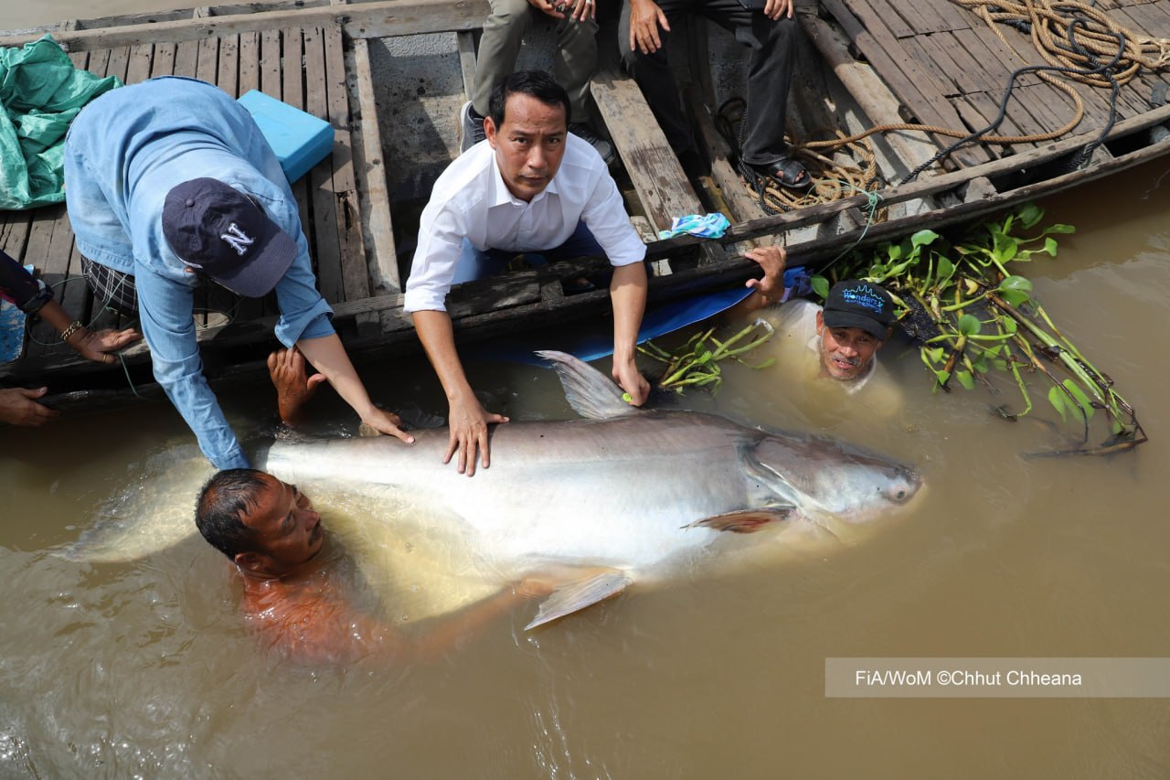 ជំនាញកសិកម្មសំខាន់ៗចំនួនបី កំពុងមានតម្រូវការខ្ពស់នៅកម្ពុជា