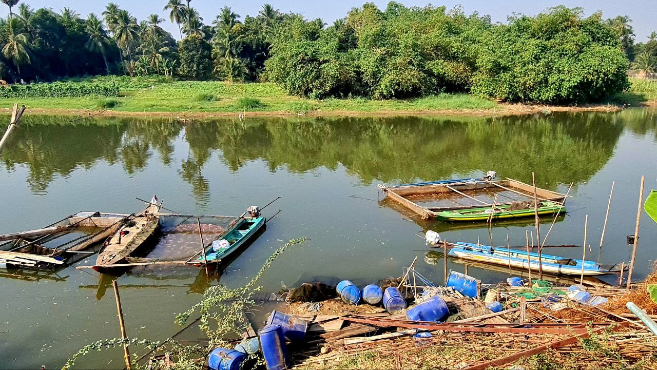 ស៊ង ឬ បែ ចិញ្ចឹមត្រីក្នុងស្ទឹងសង្កែត្រូវបានតម្រូវឱ្យរុះរើដើម្បីរក្សា អនាម័យទឹក