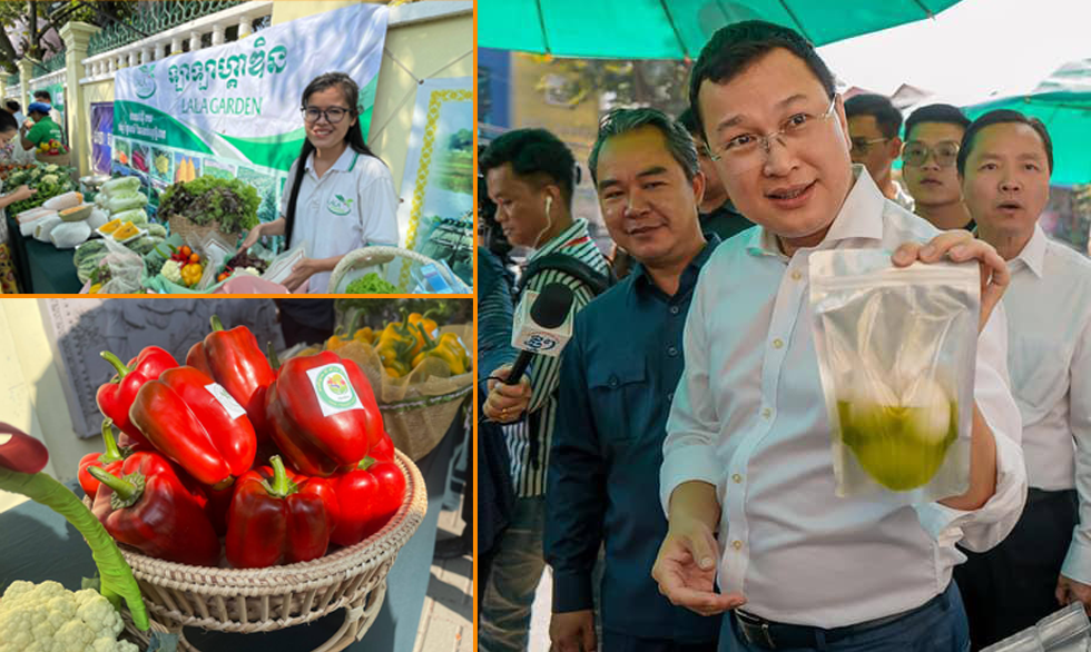 ពលរដ្ឋបង្ហាញពីការយល់ដឹងពីបន្លែសុវត្តិភាព ក្នុងខណៈក្រុមអ្នកជីវកម្មសំណូមពរឱ្យកសិករដាំដំណាំគ្មានសារជាតិគីមីដើម្បីងាយស្រួលរកទីផ្សារ