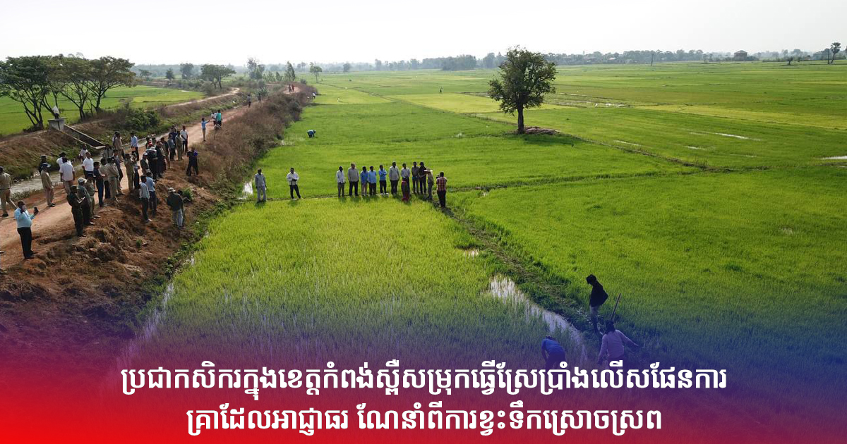ប្រជាកសិករក្នុងខេត្តកំពង់ស្ពឺសម្រុកធ្វើស្រែប្រាំងលើសផែនការ គ្រាដែលអាជ្ញាធរ ណែនាំពីការខ្វះទឹកស្រោចស្រព