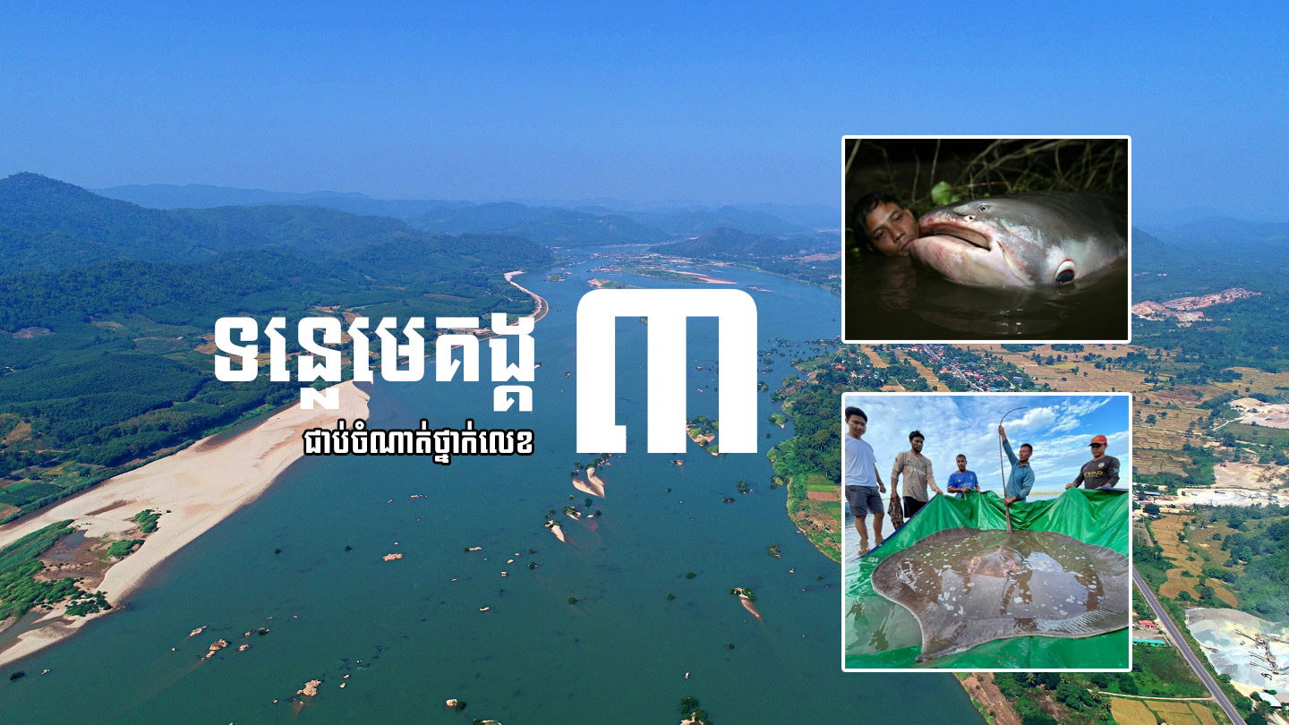 ទន្លេមេគង្គជាប់ចំណាត់ថ្នាក់លេខ៣ ជាទន្លេដែលមានជីវចម្រុះច្រើនបំផុតនៅទូទាំងពិភពលោក