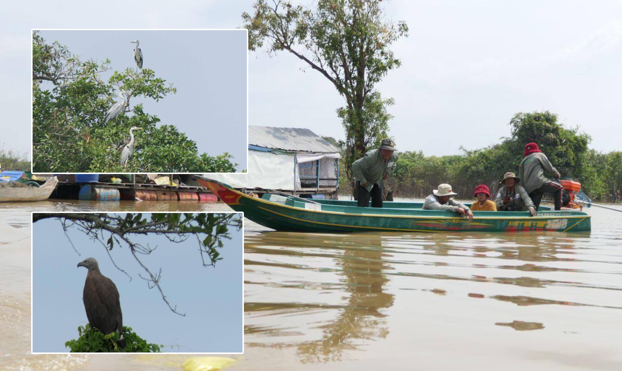 ក្រុមល្បាតស្រ្តីនៃសហគមន៍តំបន់ការពារធម្មជាតិទួលនាងសាវផ្លូវហ្លួង នៅខែកុម្ភៈចុះល្បាតបានរកឃើញសត្វស្លាបកម្រៗ ២៣ប្រភេទ