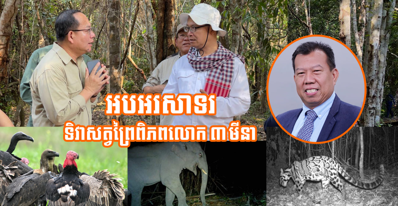 អបអរសាទរ ទិវាសត្វព្រៃពិភពលោក ៣ មិនា៖ កម្ពុជាបាននិងកំពុងពង្រឹងការគ្រប់គ្រងធនធានធម្មជាតិ និងអភិរក្សសត្វព្រៃកម្រ