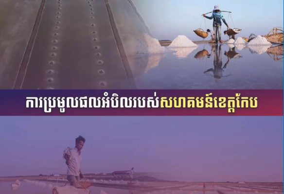 ការប្រមូលផលអំបិលរបស់សហគមន៍ខេត្តកែប