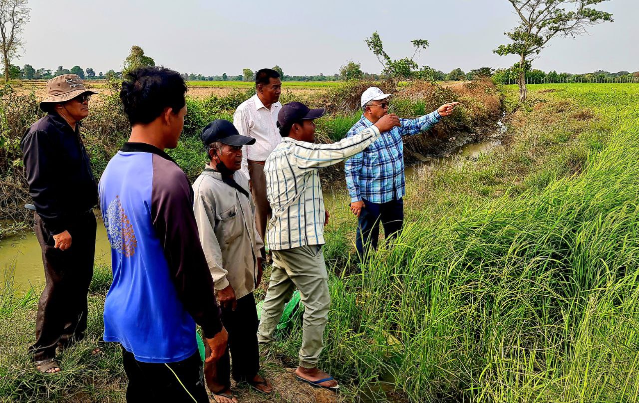 អាជ្ញាធរស្រុកថ្មគោលចុះអន្តរាគមន៍ជួយសង្គ្រោះស្រូវប្រាំងជាង១៨ ០០០ ហិកតាបានទាន់ពេល