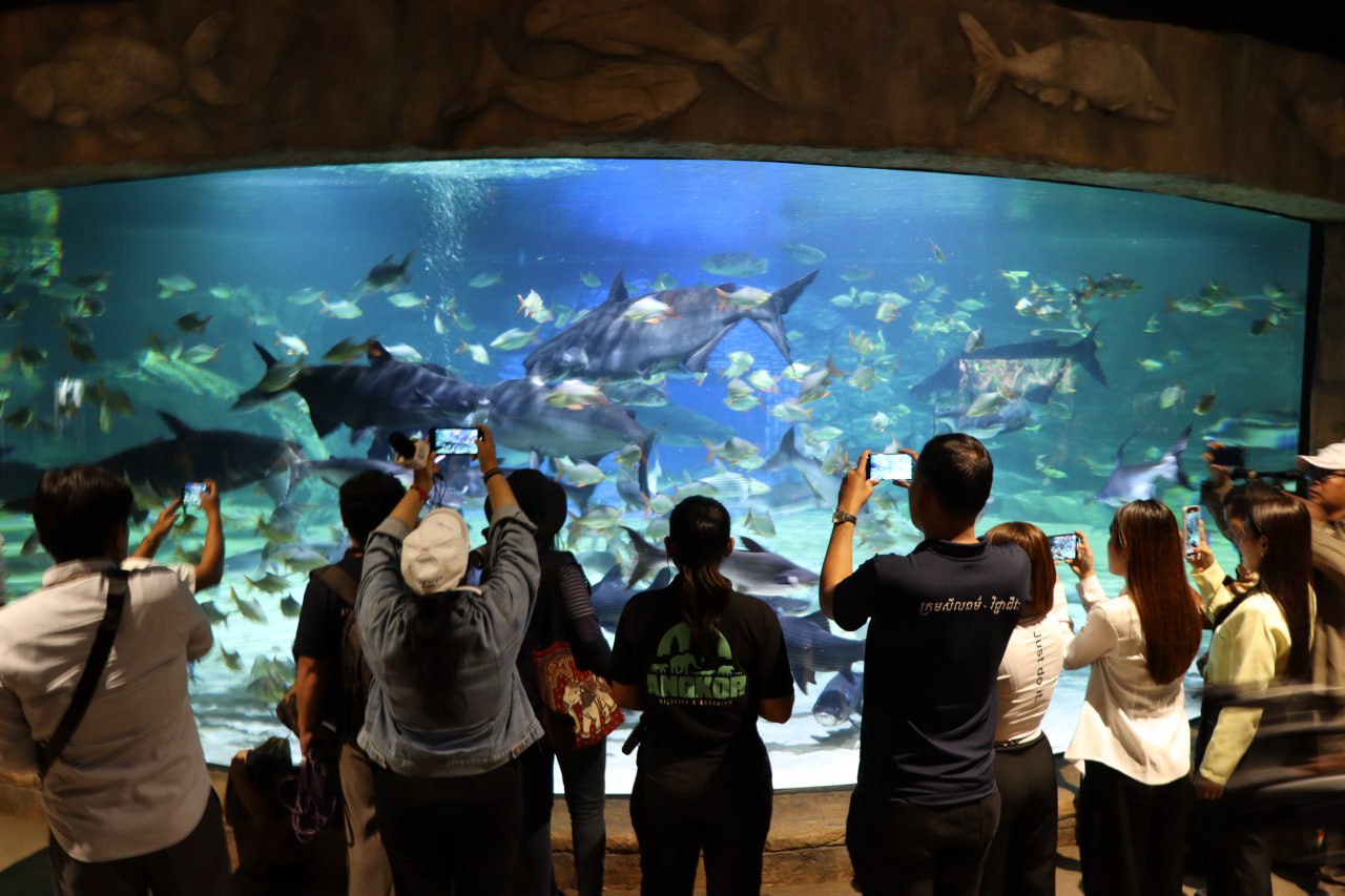 ឧទ្យានកម្សាន្ត Angkor Wildlife &amp; Aquarium មិនត្រឹមជាកន្លែងទស្សនា ប៉ុន្តែក៏បានផ្តល់ការសង្រ្គោះ និងអភិរក្ស