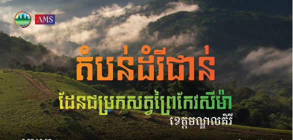 តំបន់ដំរីជាន់ ដែនជម្រកសត្វព្រៃកែវសីម៉ា ខេត្តមណ្ឌលគិរីទេសចរណ៍ផ្សារភ្ជាប់ទឹកដី កម្ពុជាមាតុភូមិខ្ញុំ