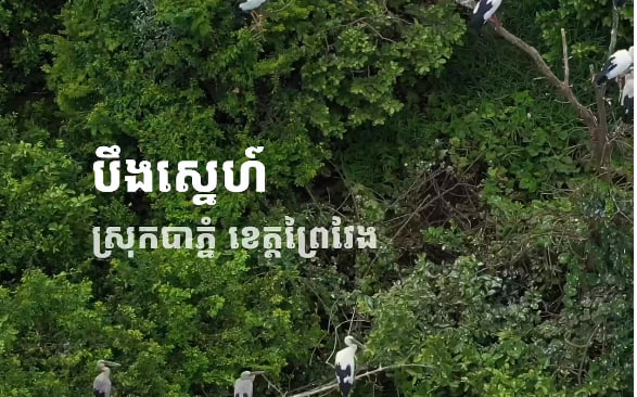 បឹងស្នេហ៍ ស្រុកបាភ្នំ ខេត្តព្រៃវែង