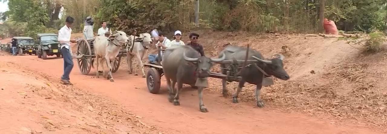 ចូលឆ្នាំខ្មែរ ទៅជិះរទេះគោ និងរទេះក្របីនៅព្រះដាក់