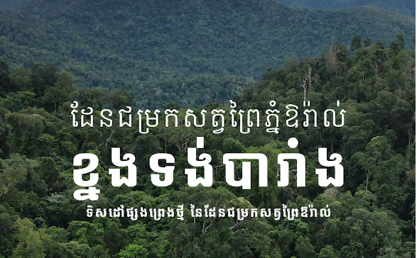 ខ្នងទង់បារាំង តំបន់ថ្មក្រាល ដែនជម្រកសត្វព្រៃភ្នំឱរ៉ាល់ស្រុកទឹកផុស ខេត្តកំពង់ឆ្នាំងទេសចរណ៍ផ្សារភ្ជាប់ទឹកដី កម្ពុជាមាតុភូមិខ្ញុំ