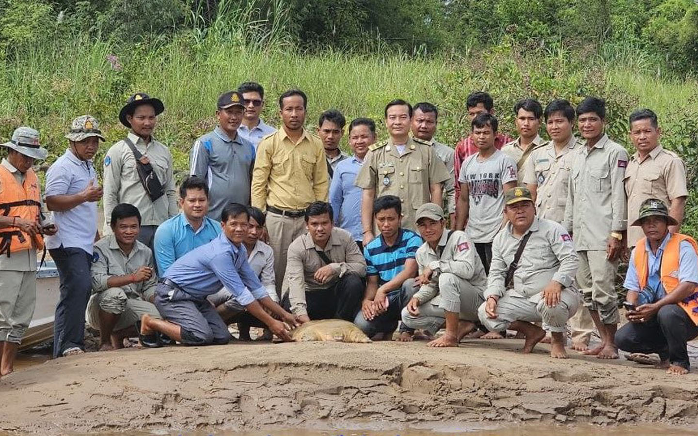 ប្រទះឃើញពងកន្ធាយក្បាលកង្កែបដែលជាសត្វដ៏កម្របំផុត ចំនួន ៥៥គ្រាប់ នៅស្រុកសៀមបូកខេត្តស្ទឹងត្រែង