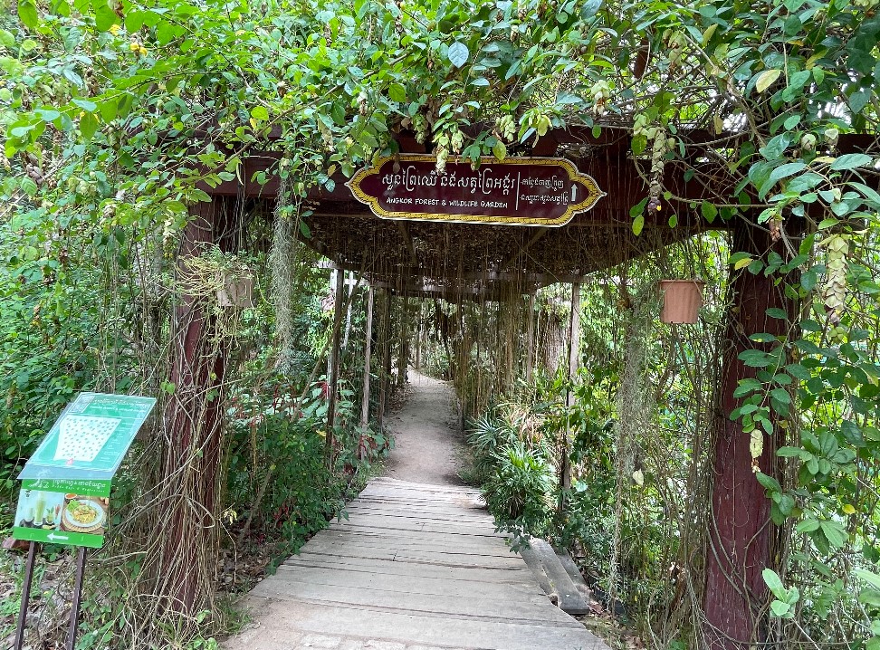 សួន«រុក្ខជាតិអង្គរកំពុង ទាក់ទាញភ្ញៀវទេសចរ ចូលកម្សាន្ត នៅក្នុងអំឡុងចូលឆ្នាំ២០២៤នេះ